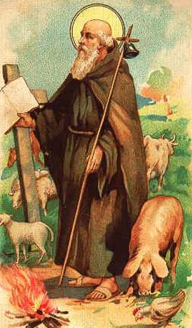 Il Santo delle stalle
