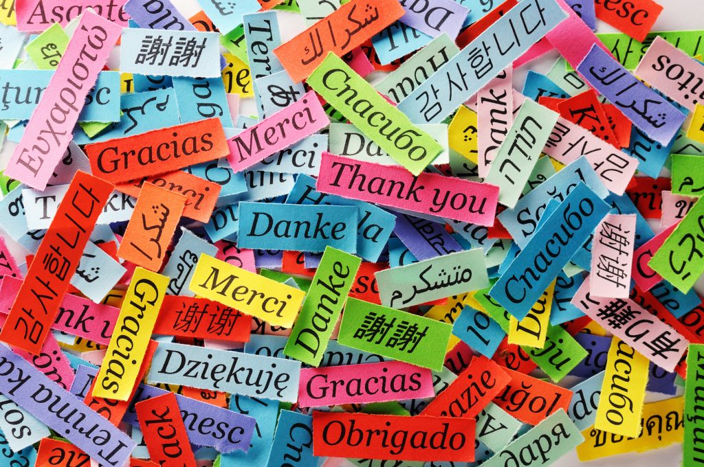 Le politiche di promozione delle lingue straniere in Europa. Multiculturalità e multilinguismo come preparazione alla cittadinanza democratica