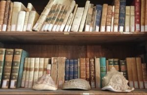 Il mare, il pane, gli animali, i libri